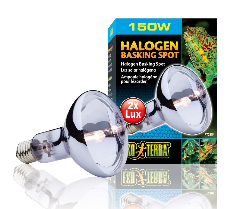Exo Terra Halogen Basking Spot Lamp for Reptiles 150 Watt