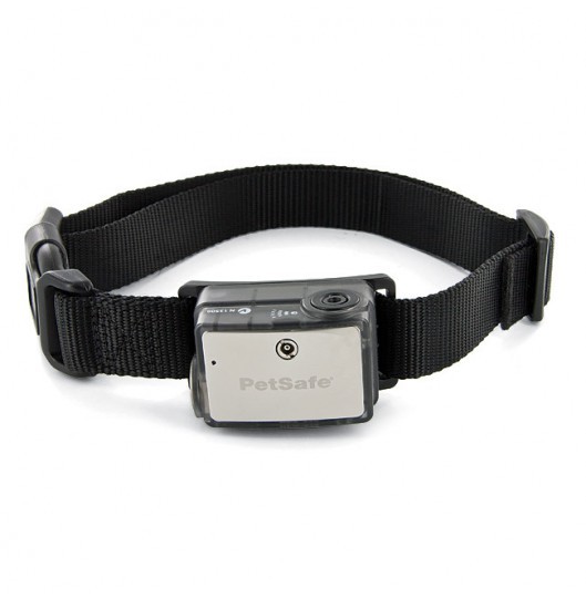 Elite big dog bark control online