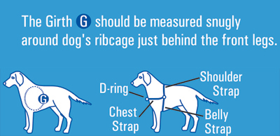 Gentle Leader Harness Size Chart