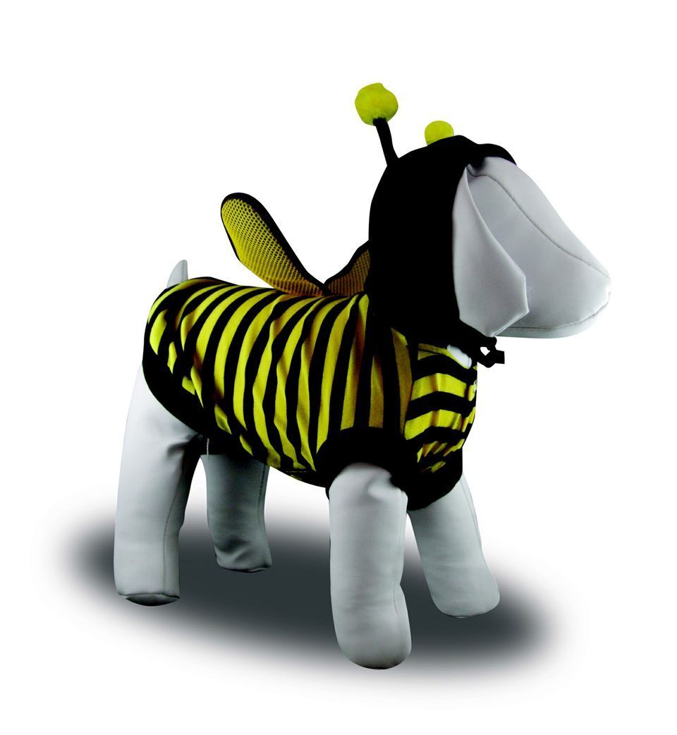 Bumble Bee Dog Costume Buy Online at
