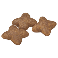 Royal Canin Canine Mini Adult - 4kg