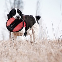 Ezydog Fido Flyer
