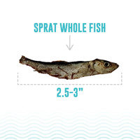 Icelandic Sprat Whole Fish Dog Treats - 57g