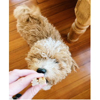 Whimzees Puppy Dental Treats - Medium/Large - 14 Pack (210g)