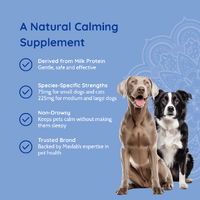 Mavlab Settle Pet Calming  Powder - Medium/Large Dogs - 50g