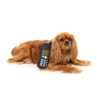 FuzzYard Nokidog Dog Toy