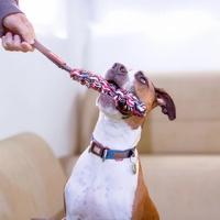 Ezydog Beaver Tail Dog Toy - Small (4cm x 17cm + Handle 21cm)