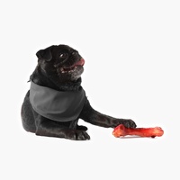 Ezydog EzyBone Chew Toy for Dogs - Large