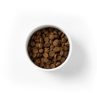 SavourLife Essential Adult - Beef - 15kg