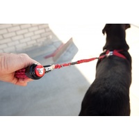 Ezydog Cujo 25 Bungee Dog Lead - (64cm)