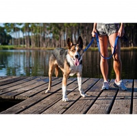 Ezydog Soft Trainer Dog Leash - 25mm x 180cm