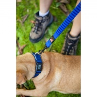 Ezydog Zero Shock 48 Dog Leash - 120cm