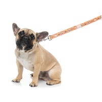 FuzzYard Dog Lead - Bao Wow