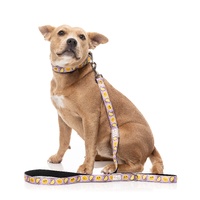 FuzzYard Dog Lead - Easy Peasy