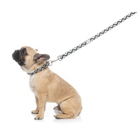 FuzzYard Dog Lead - Intersect
