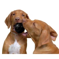 KONG Extreme Ball