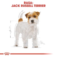 Royal Canin Jack Russell Terrier