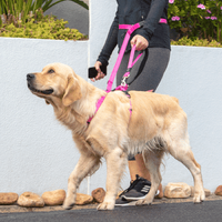 Rogz Utility Handsfree Dog Lead - Black