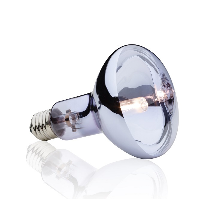 Exo Terra Halogen Basking Spot Lamp for Reptiles 150 Watt