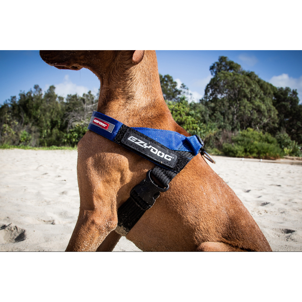 Ezydog Express Dog Walking Harness Large Red