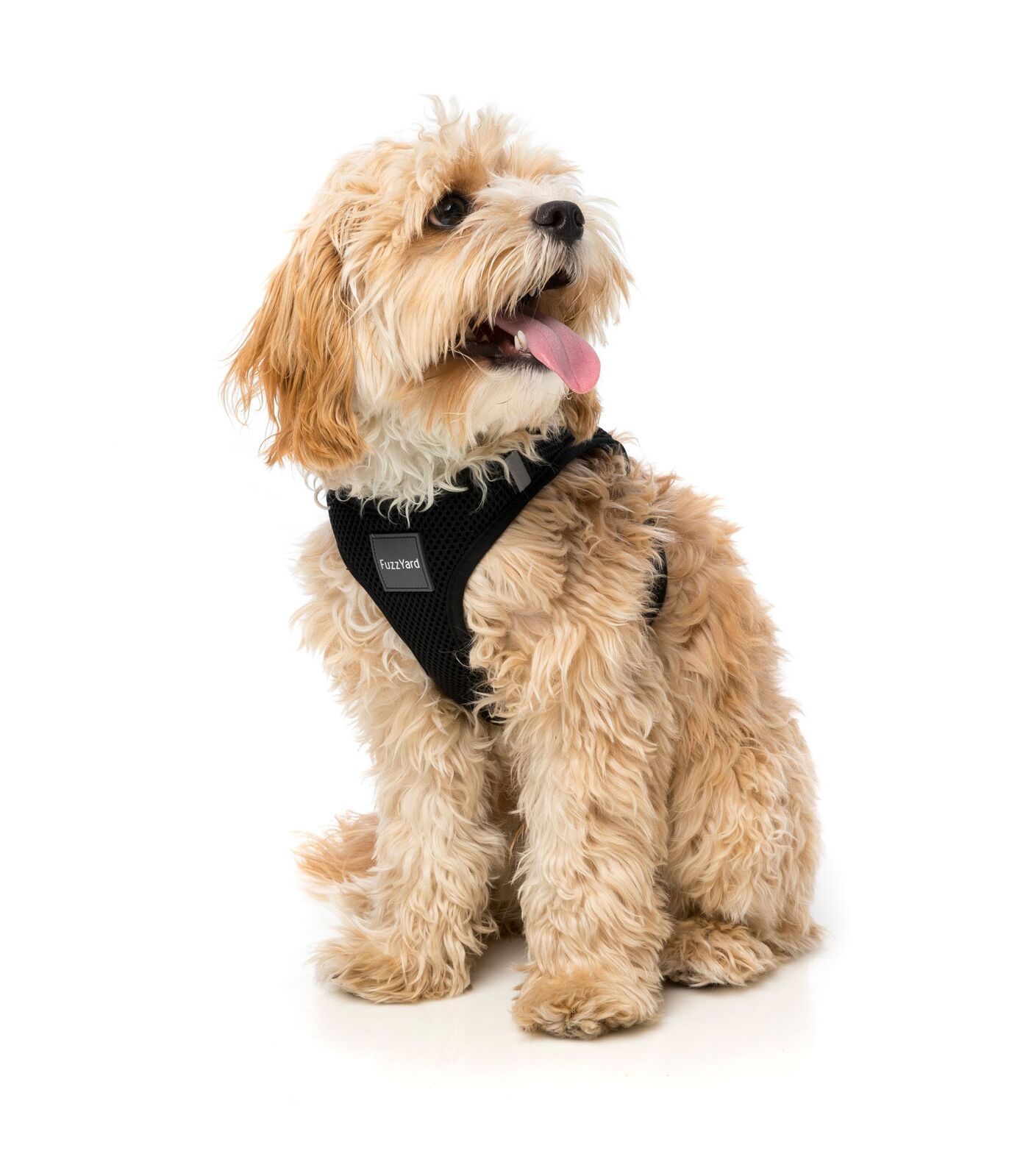 Swat dog discount harness