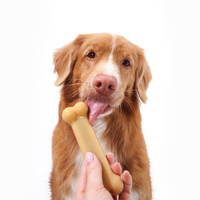 Sporn Marrow Bone - Peanut Butter Flavour - Medium