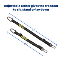 PetSafe Safety Seatbelt Tether