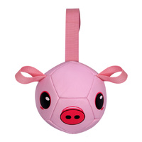 Pet One Toggle Ball Dog Toy - Pig - Large