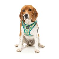 FuzzYard Step-In Dog Harness - Bananarama - XX-Small (34-36 Neck - 39-41cm Chest)