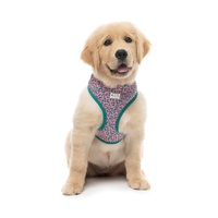 FuzzYard Dog Harness - Samba Melon