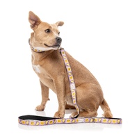 FuzzYard Dog Lead - Easy Peasy