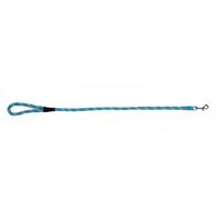 Prestige Pet Mountain Dog Leash - Turquoise