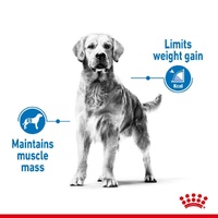 Royal Canin Canine Medium Light Weight Care