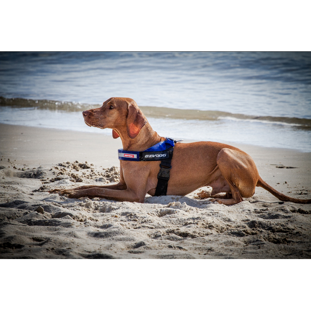 Ezydog Express Dog Walking Harness Large Red