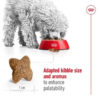 Royal Canin Canine Mini Adult - 4kg