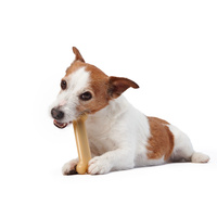 Sporn Marrow Bone - Peanut Butter Flavour - Medium