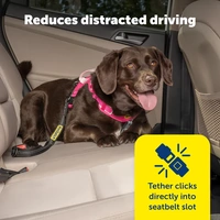 PetSafe Safety Seatbelt Tether