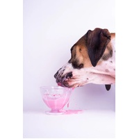 Dog Yog - DIY Fountain of Youth -140g