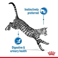 Royal Canin Feline Indoor in Gravy Pouch - 85g