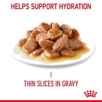 Royal Canin Feline Ultra Light in Gravy - 85g