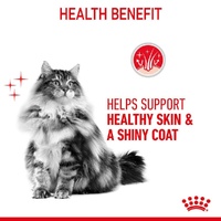 Royal Canin Feline Intense Beauty in Jelly - 85g