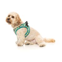 FuzzYard Step-In Dog Harness - Bananarama - XX-Small (34-36 Neck - 39-41cm Chest)