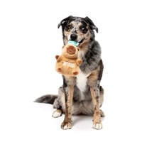 FuzzYard Dog Toy - Capy-Cinno