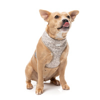 FuzzYard Dog Harness - Matera