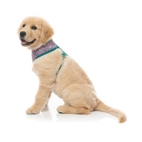 FuzzYard Dog Harness - Samba Melon