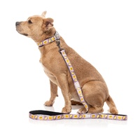 FuzzYard Dog Lead - Easy Peasy