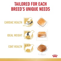 Royal Canin Cavalier King Charles