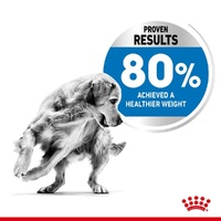 Royal Canin Canine Medium Light Weight Care
