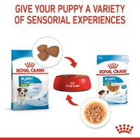 Royal Canin Mini Puppy Pouch