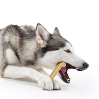 Sporn Marrow Bone - Peanut Butter Flavour - Medium